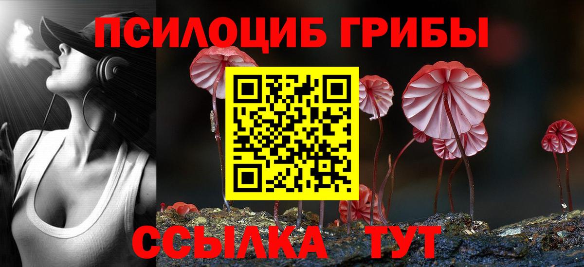 Заводоуковск  Галлюциногенные грибы мицелий  Вход с VPN 